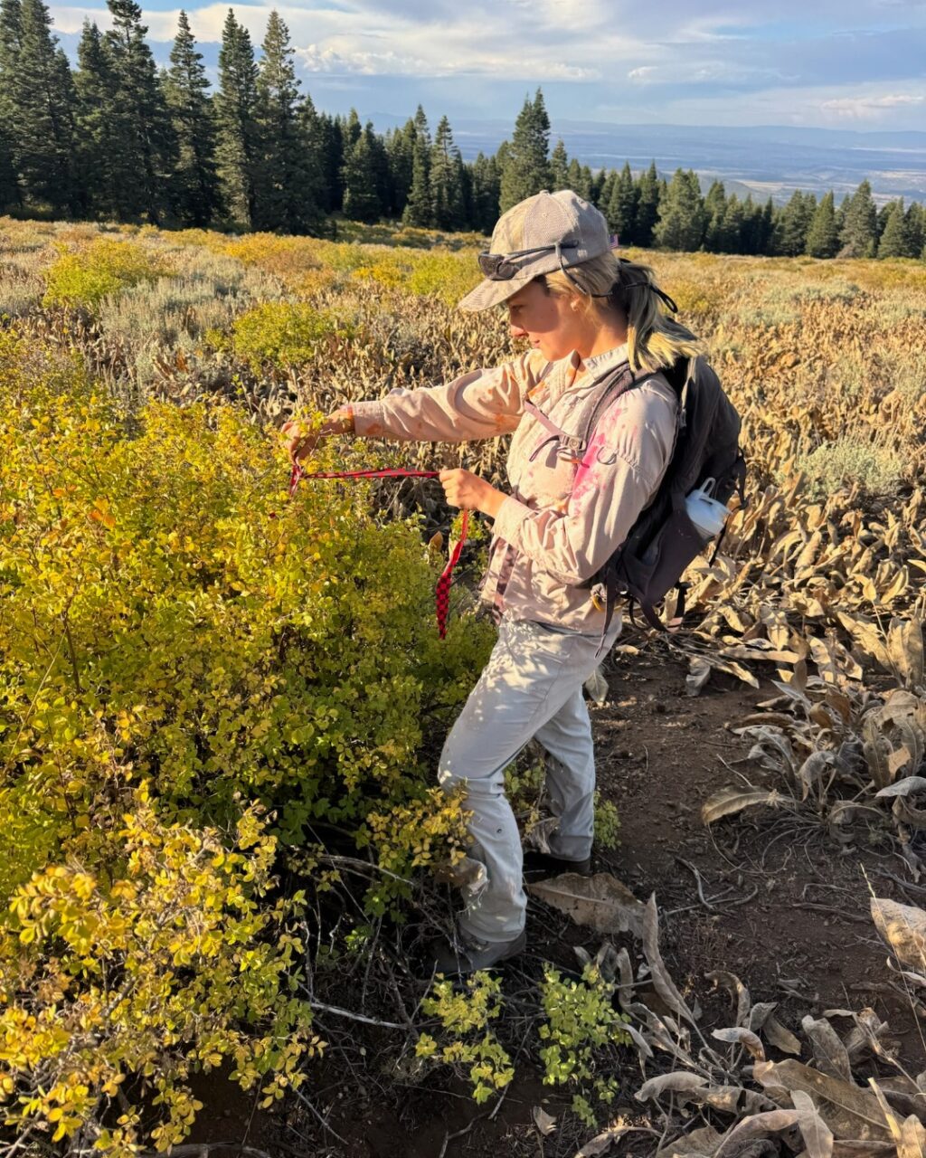 Instagram post from caldeerassoc. This post is in position 1.