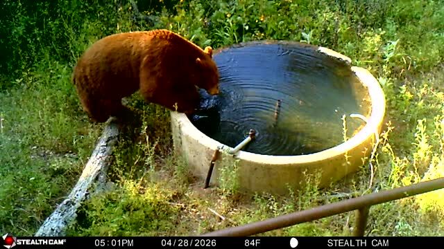 Instagram post from caldeerassoc. This post is in position 1.