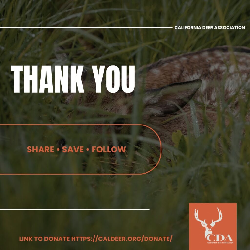 Instagram post from caldeerassoc. This post is in position 6.