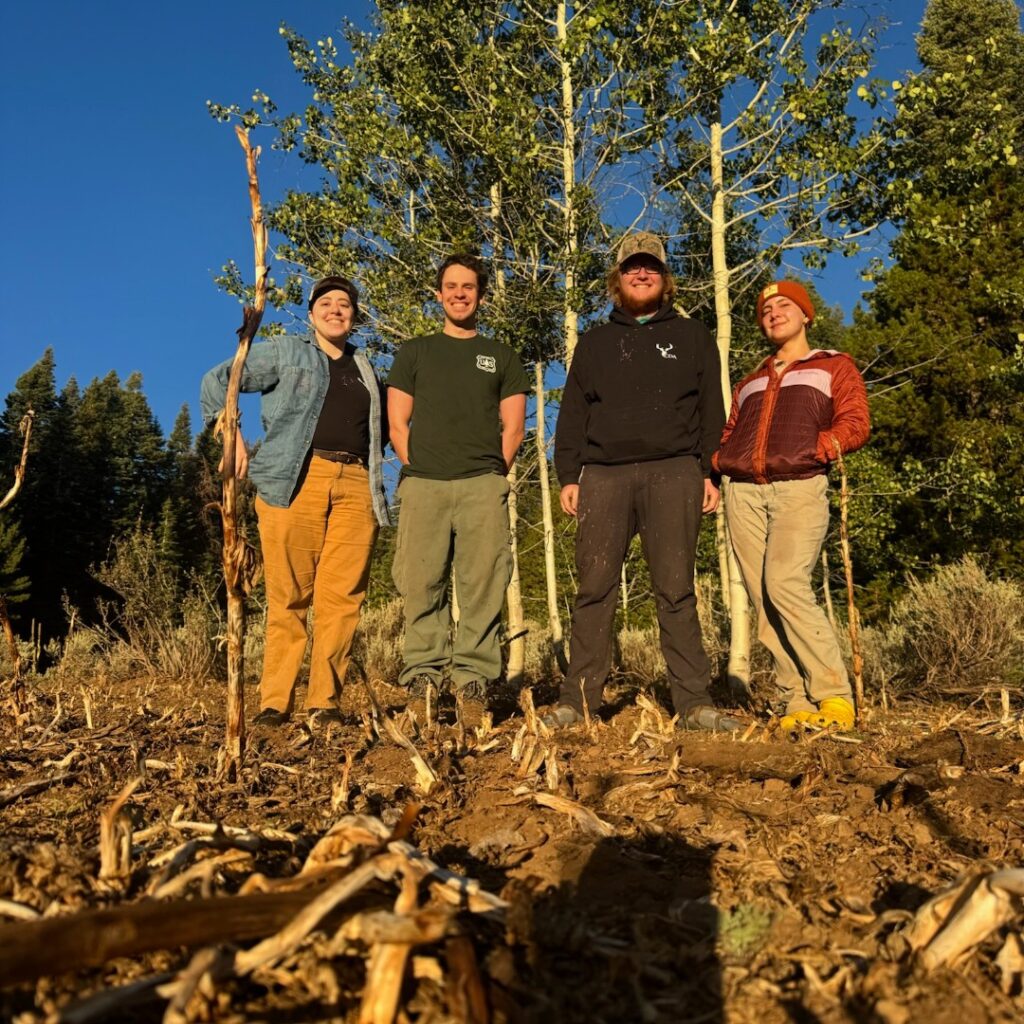 Instagram post from caldeerassoc. This post is in position 2.
