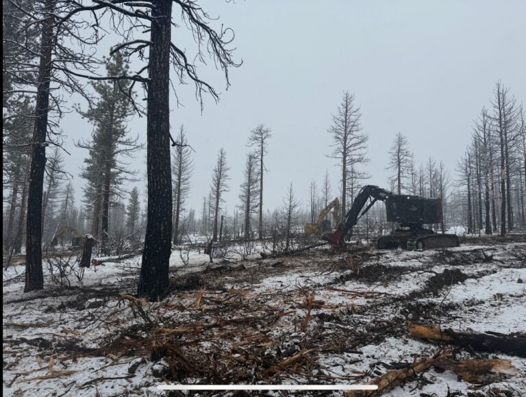 Instagram post from caldeerassoc. This post is in position 1.