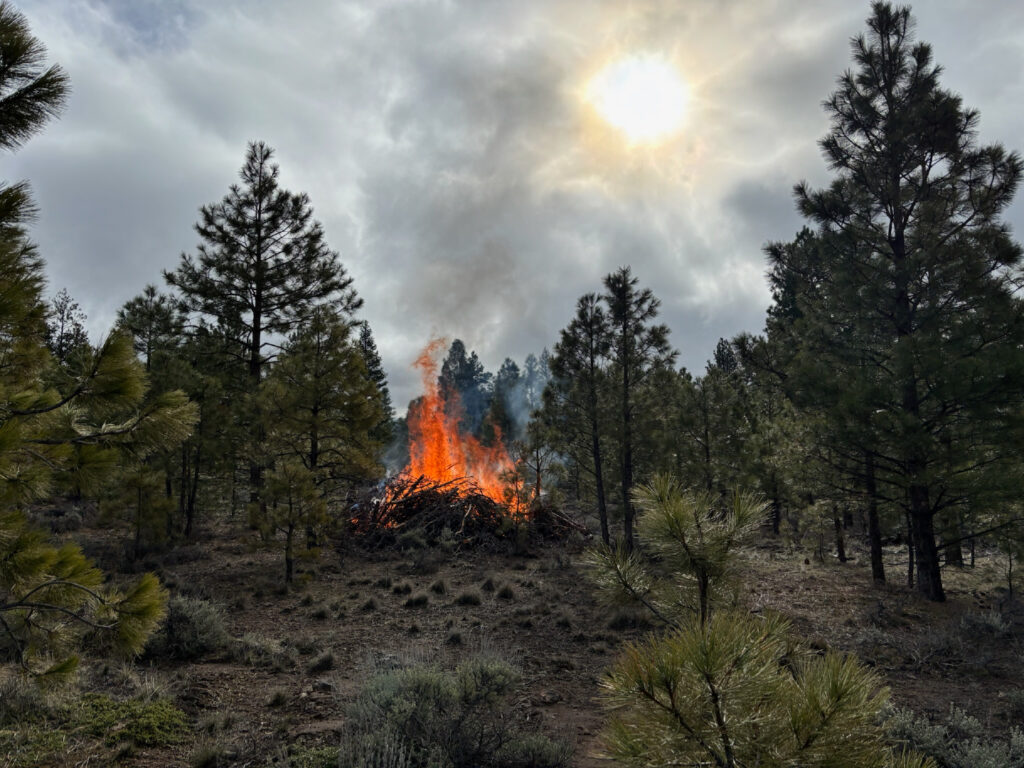 Instagram post from caldeerassoc. This post is in position 2.