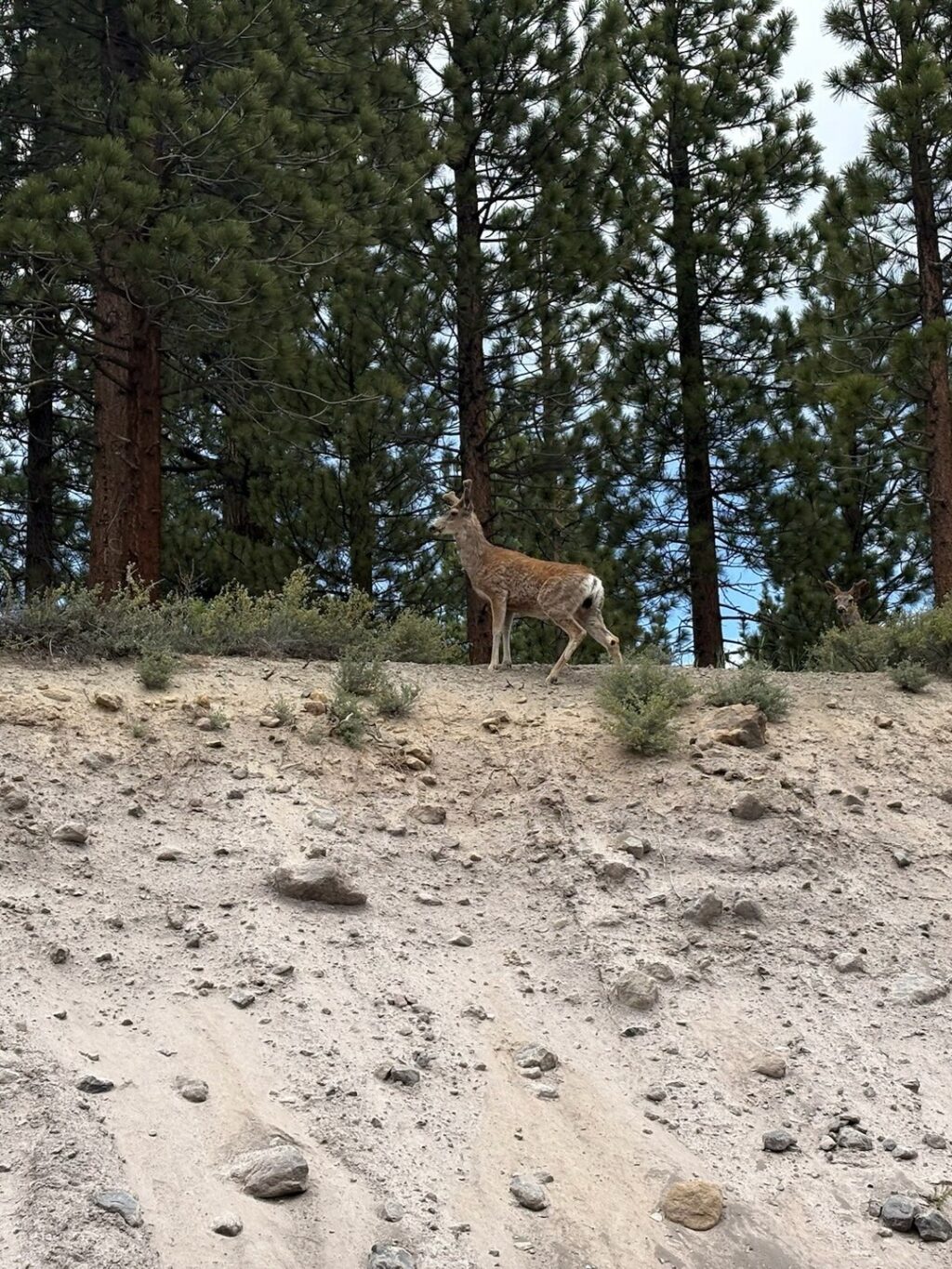 Instagram post from caldeerassoc. This post is in position 4.