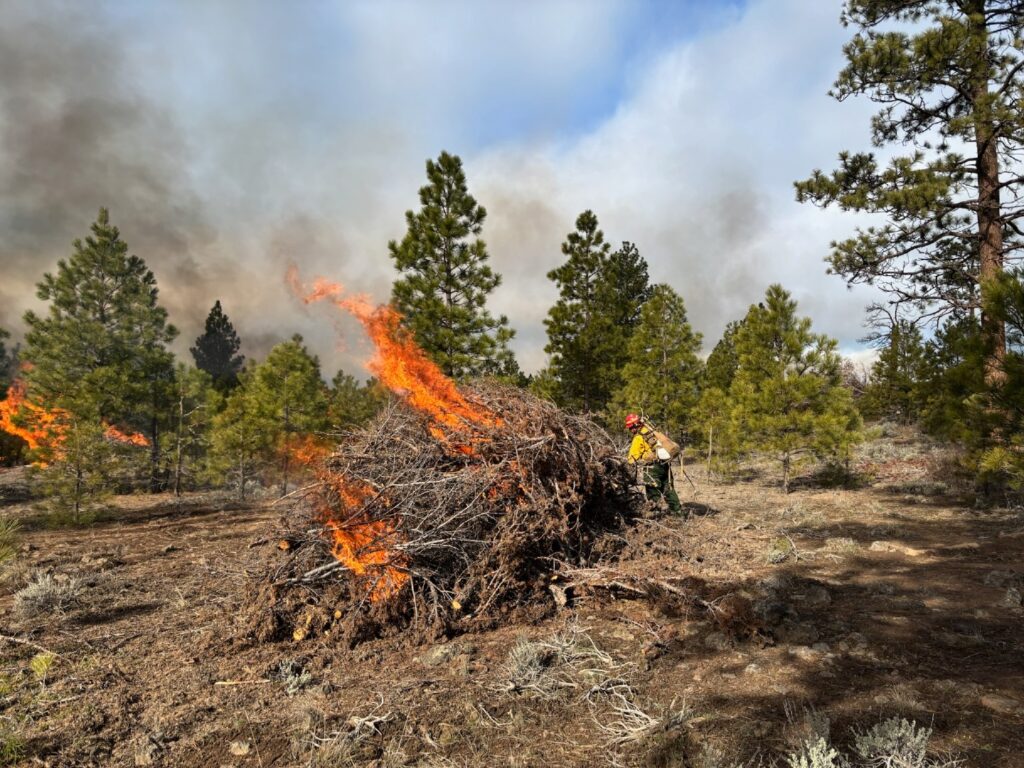 Instagram post from caldeerassoc. This post is in position 6.