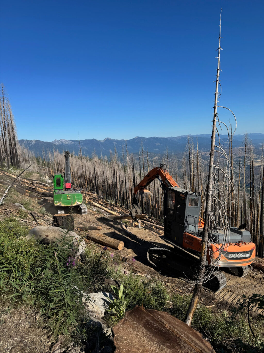 Instagram post from caldeerassoc. This post is in position 5.