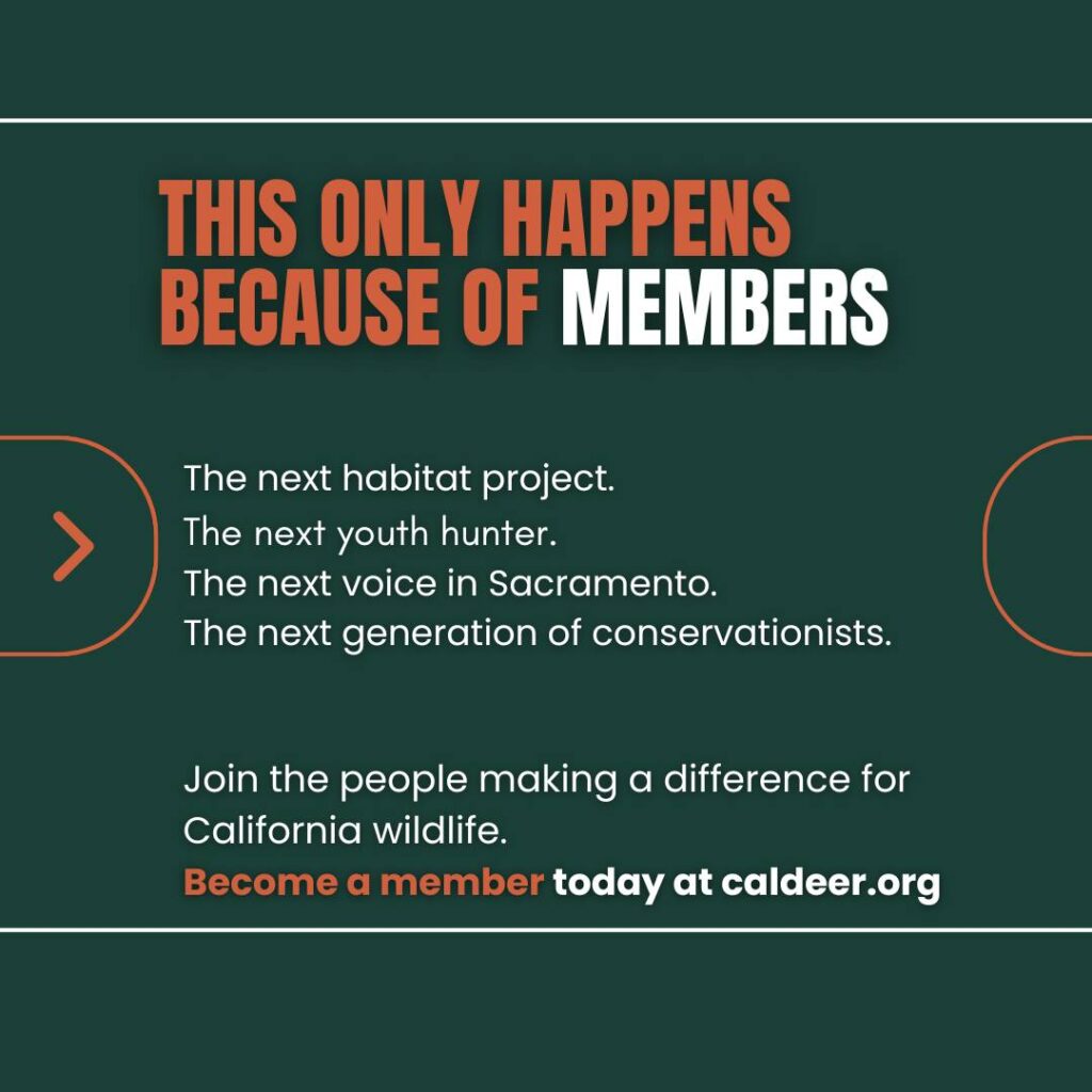 Instagram post from caldeerassoc. This post is in position 5.