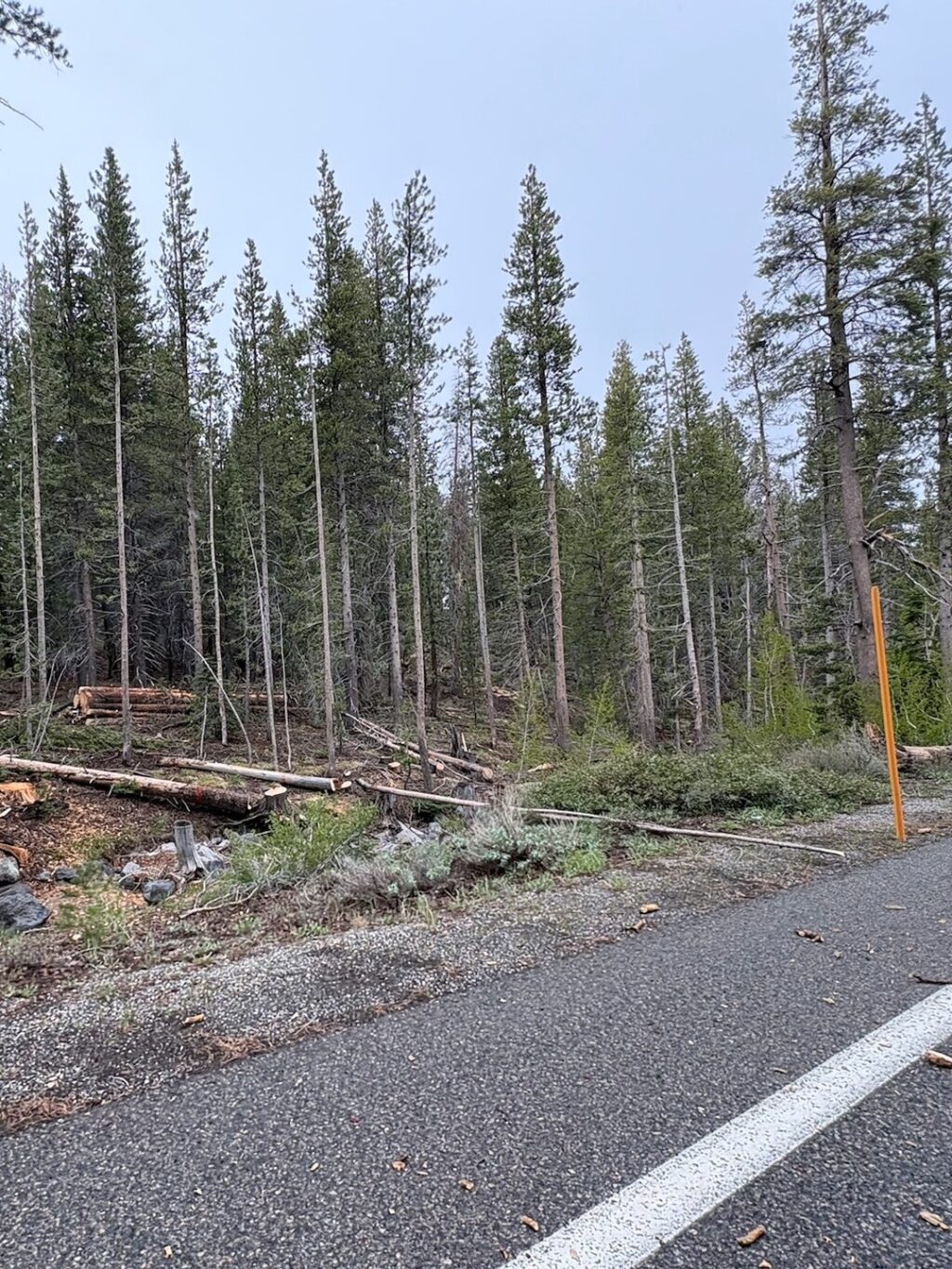 Instagram post from caldeerassoc. This post is in position 3.