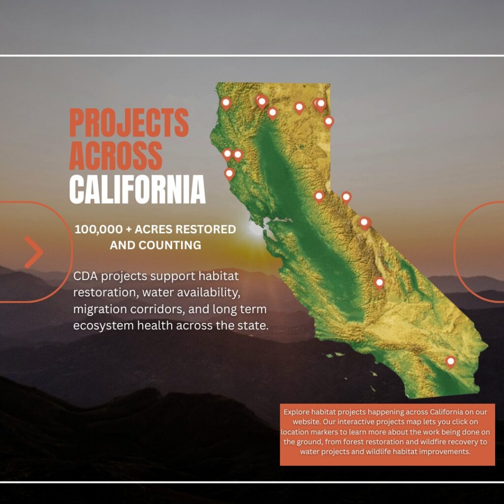 Instagram post from caldeerassoc. This post is in position 1.