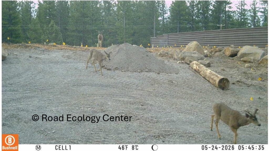 Instagram post from caldeerassoc. This post is in position 3.