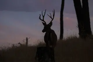 Instagram post from caldeerassoc. This post is in position 1.
