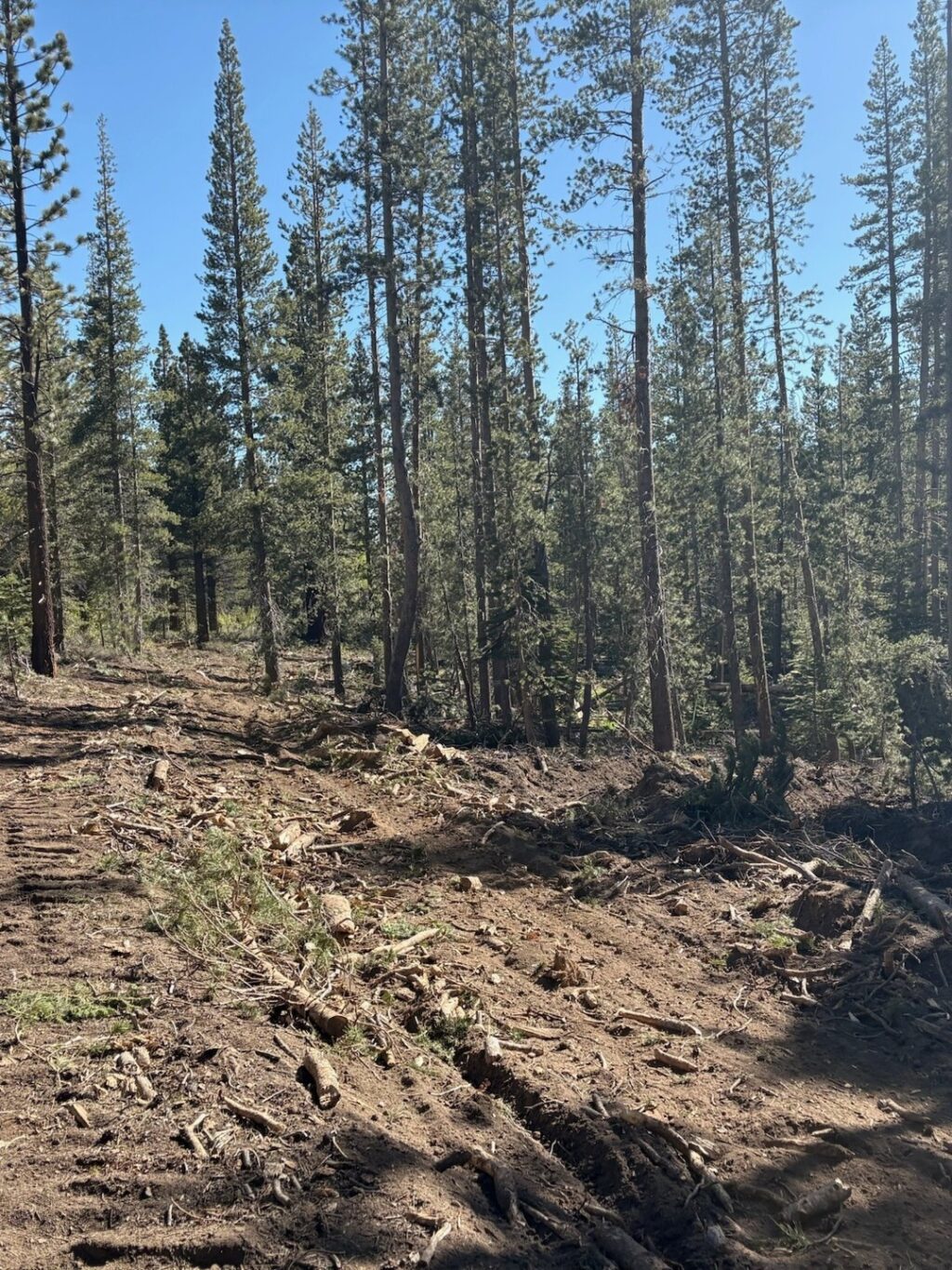 Instagram post from caldeerassoc. This post is in position 5.