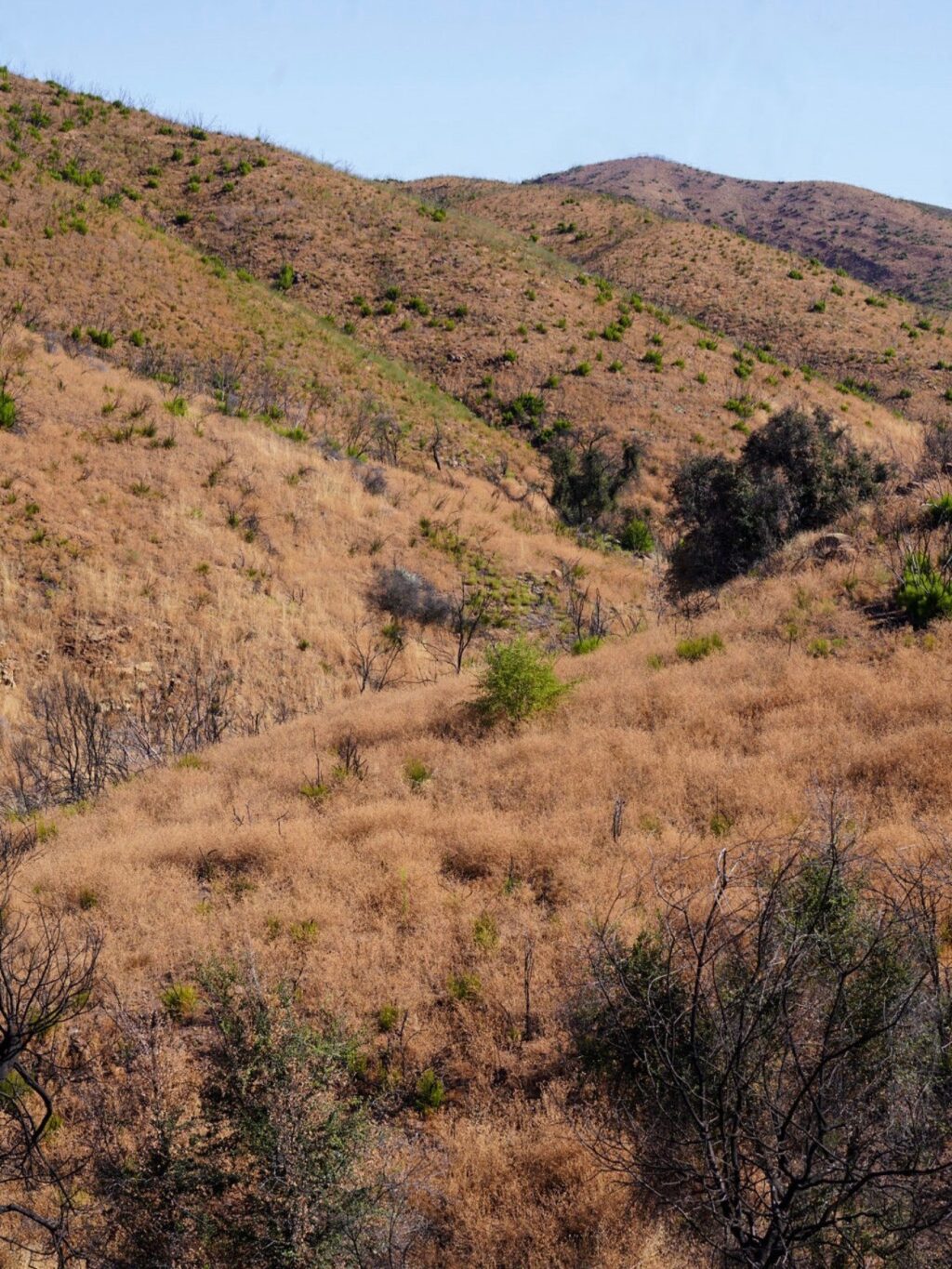 Instagram post from caldeerassoc. This post is in position 6.
