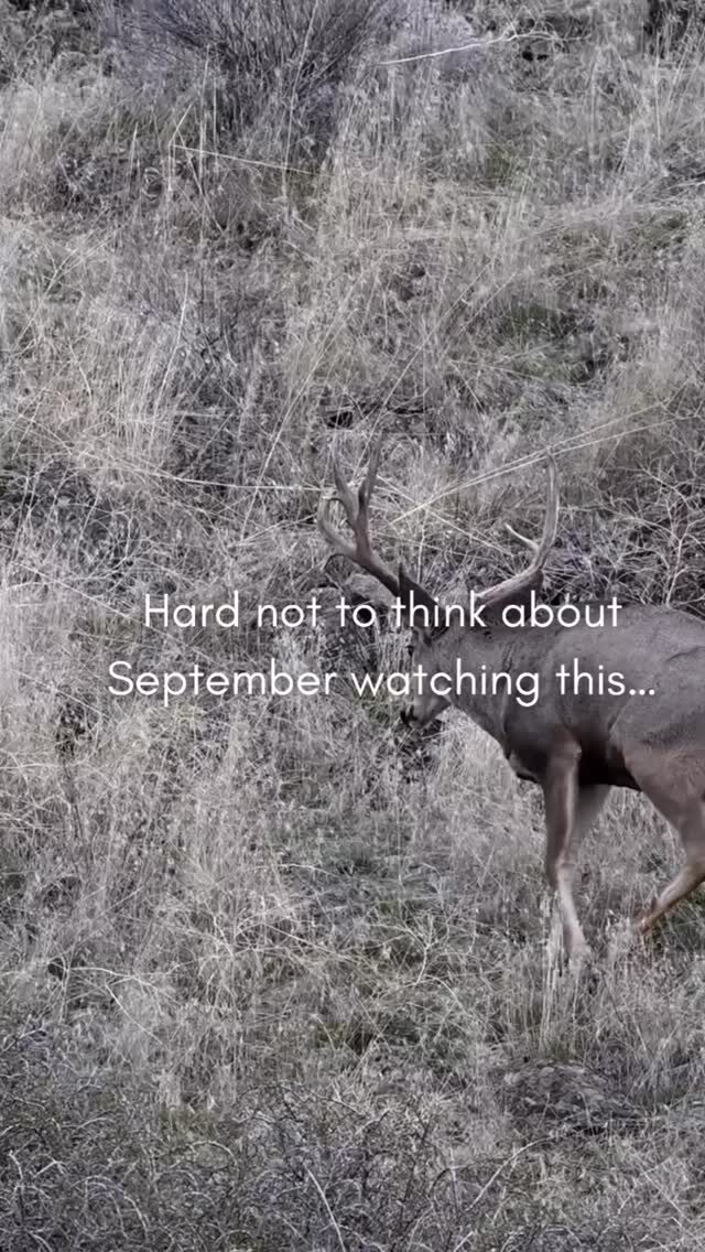 Instagram post from caldeerassoc. This post is in position 1.