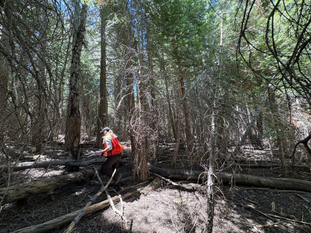 Instagram post from caldeerassoc. This post is in position 5.