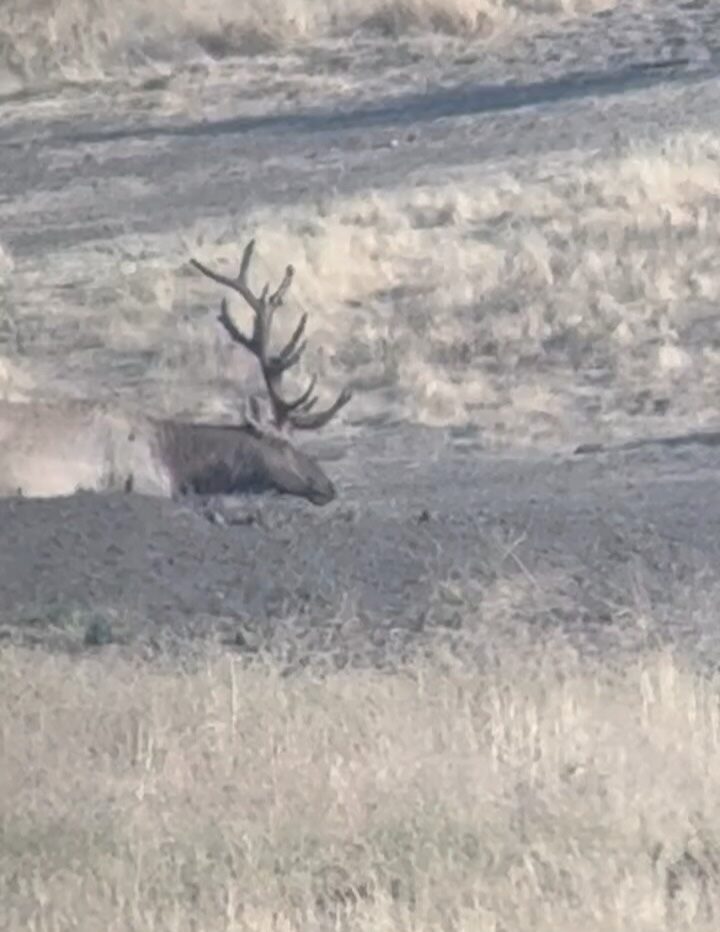 Instagram post from caldeerassoc. This post is in position 7.