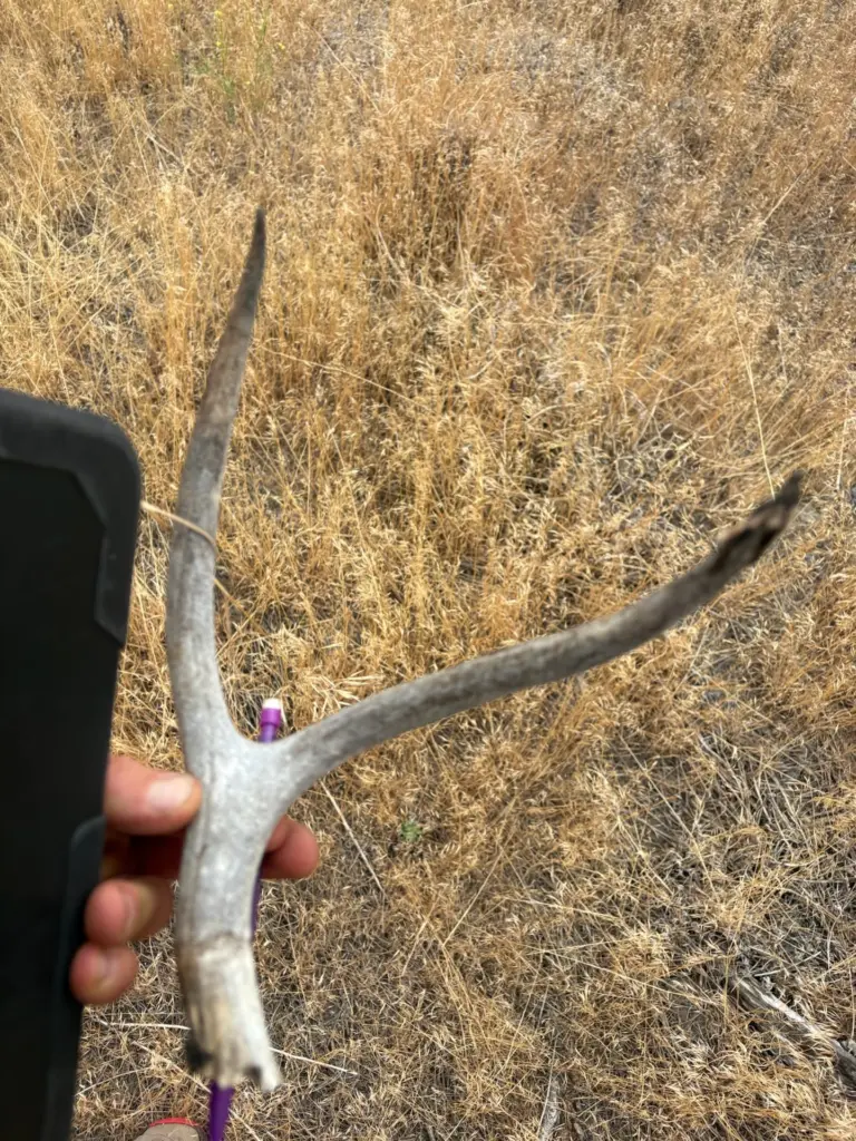 Instagram post from caldeerassoc. This post is in position 1.
