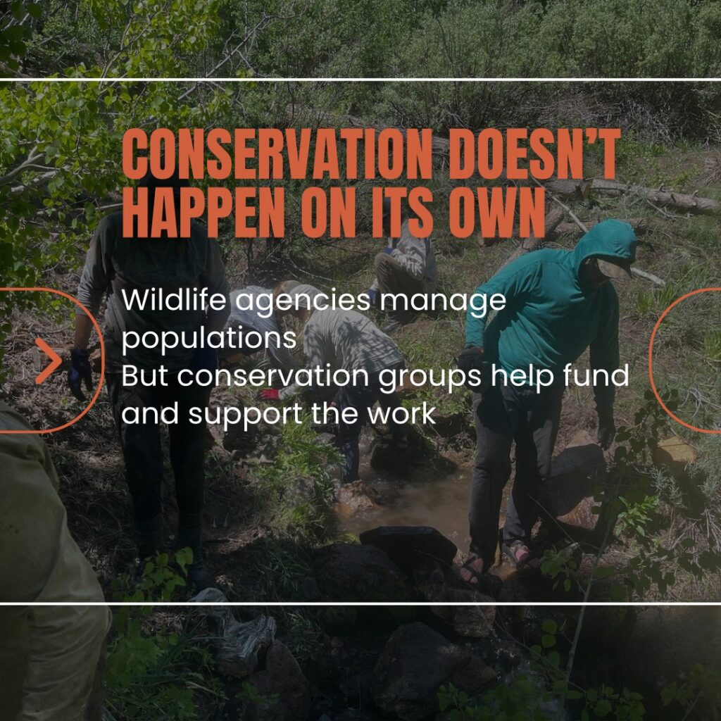 Instagram post from caldeerassoc. This post is in position 5.