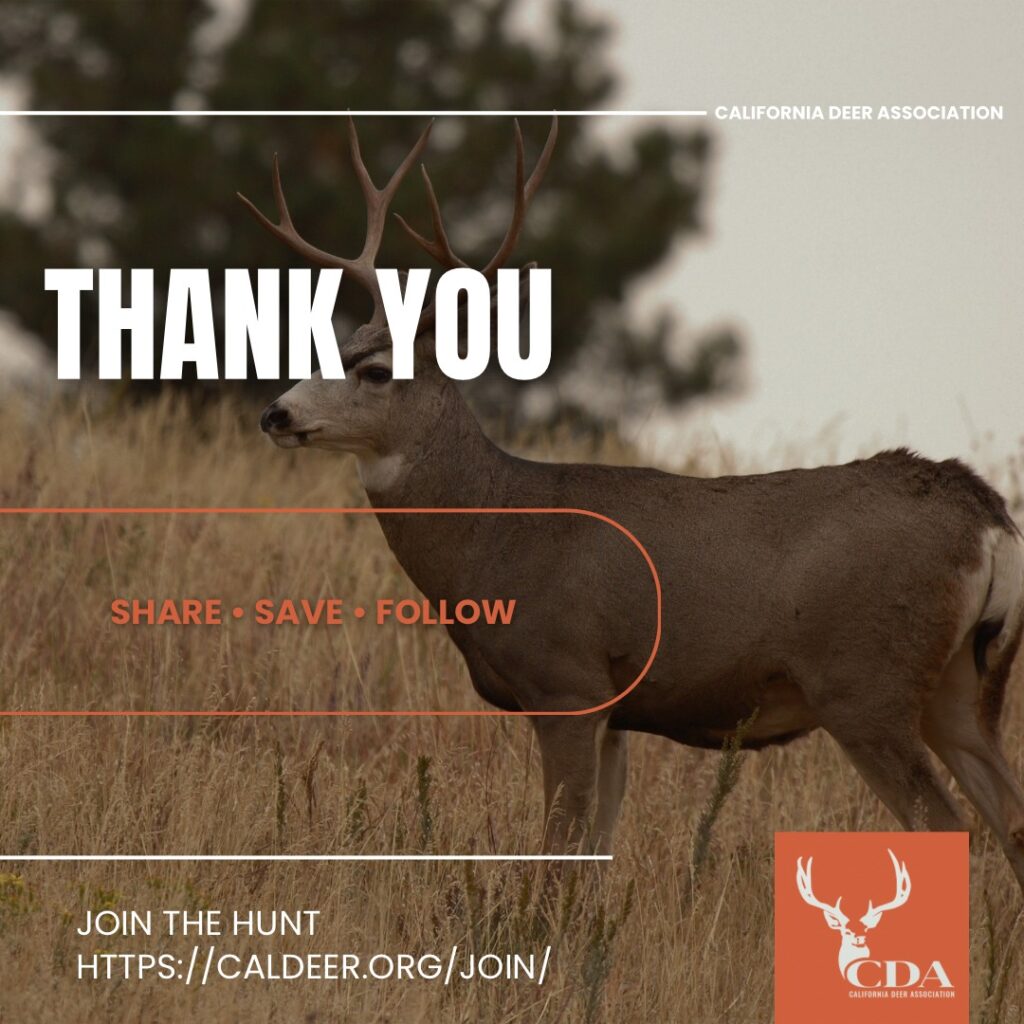 Instagram post from caldeerassoc. This post is in position 9.