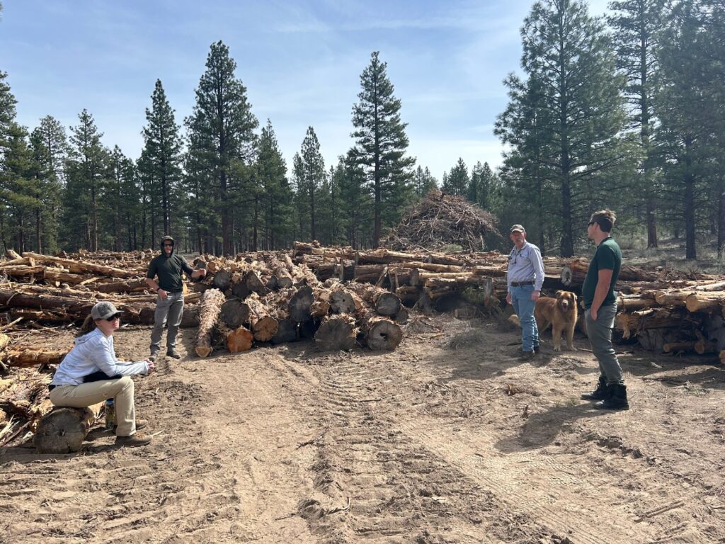 Instagram post from caldeerassoc. This post is in position 1.