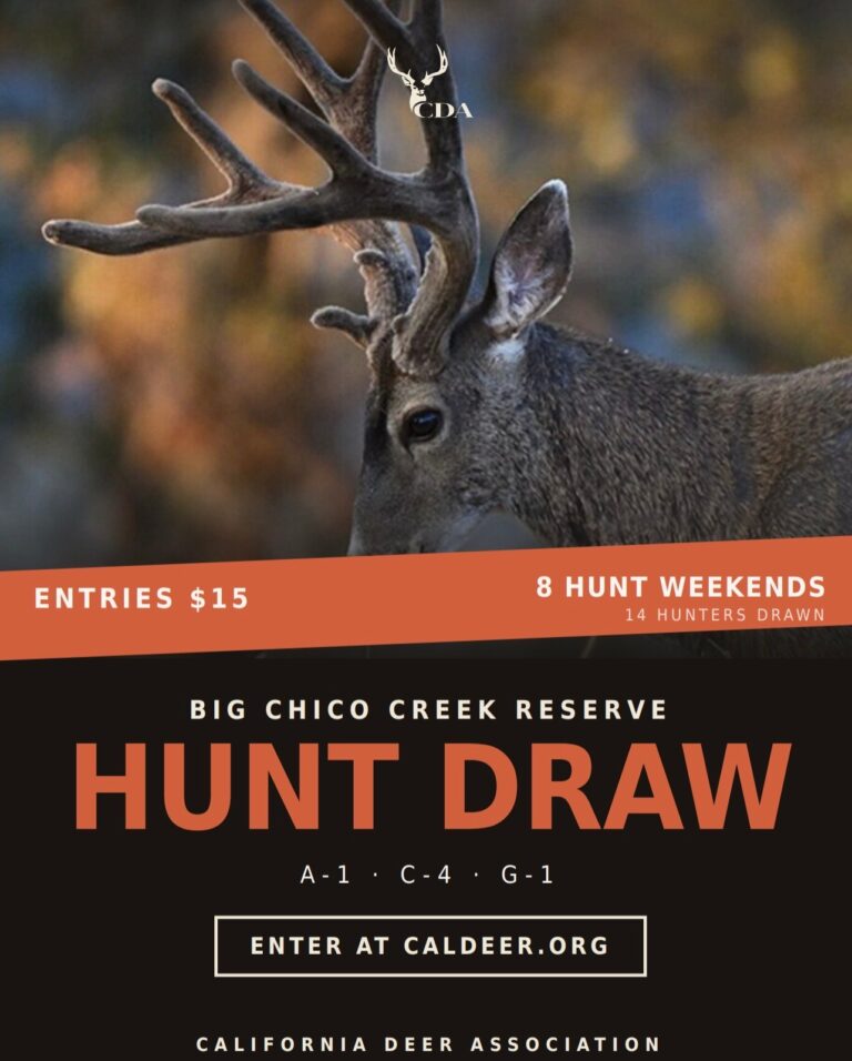 Instagram post from caldeerassoc. This post is in position 1.