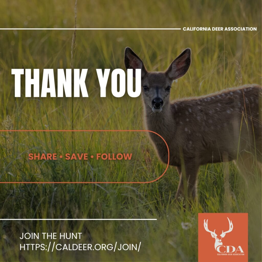 Instagram post from caldeerassoc. This post is in position 6.