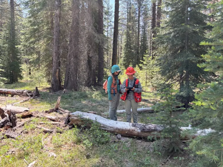 Instagram post from caldeerassoc. This post is in position 4.