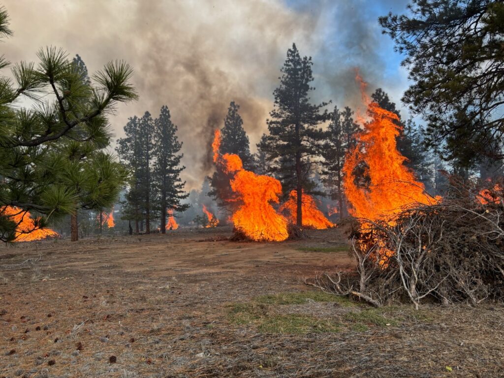 Instagram post from caldeerassoc. This post is in position 1.