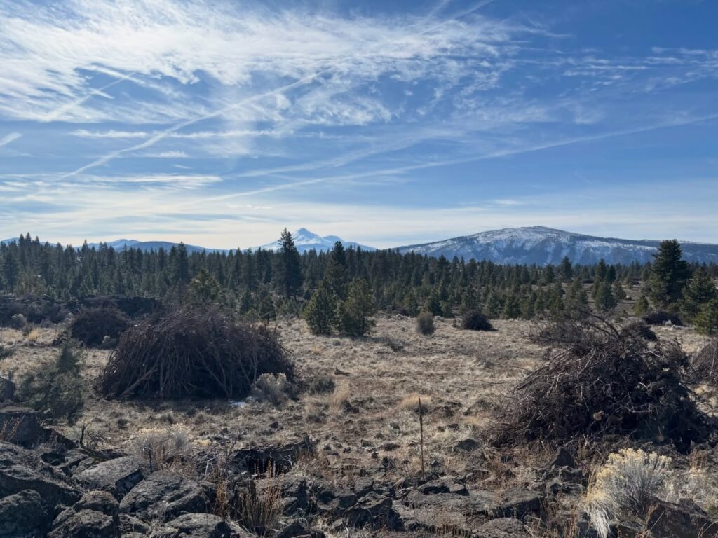 Instagram post from caldeerassoc. This post is in position 6.