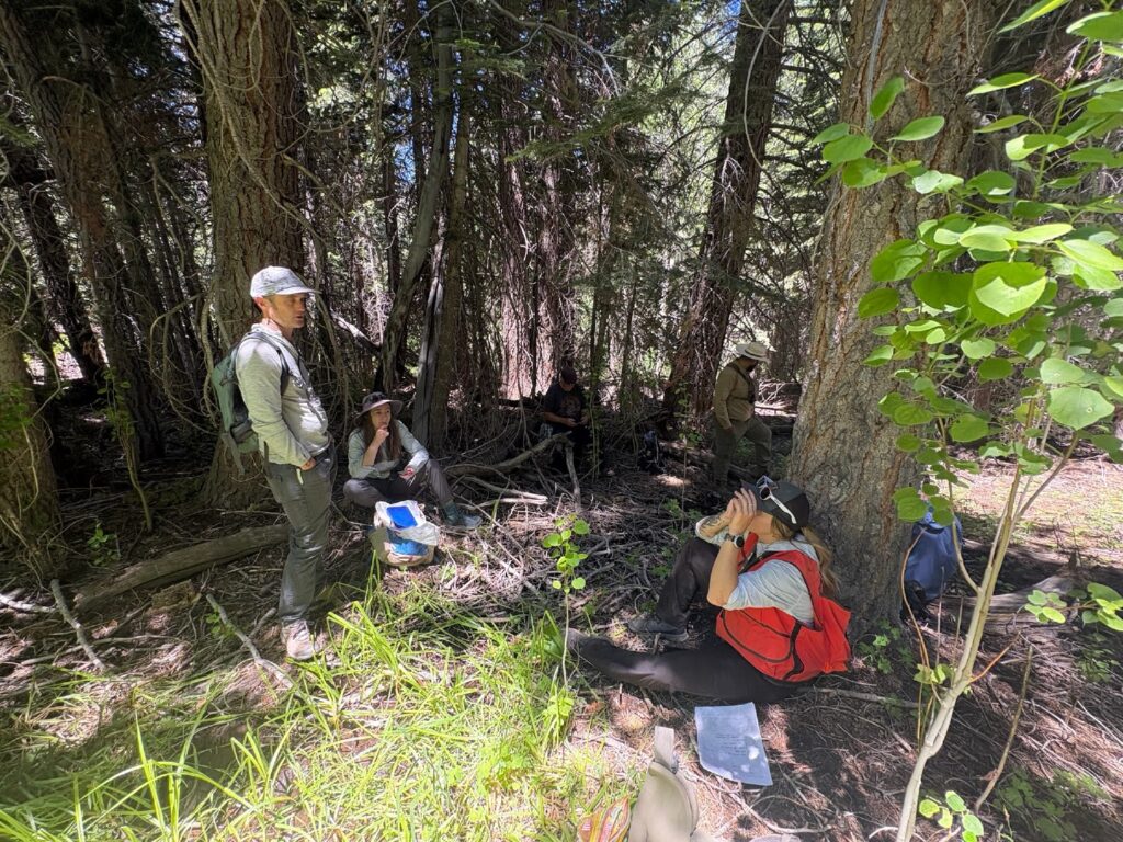 Instagram post from caldeerassoc. This post is in position 7.