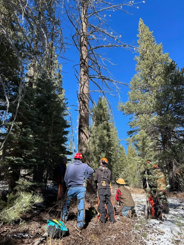Instagram post from caldeerassoc. This post is in position 3.