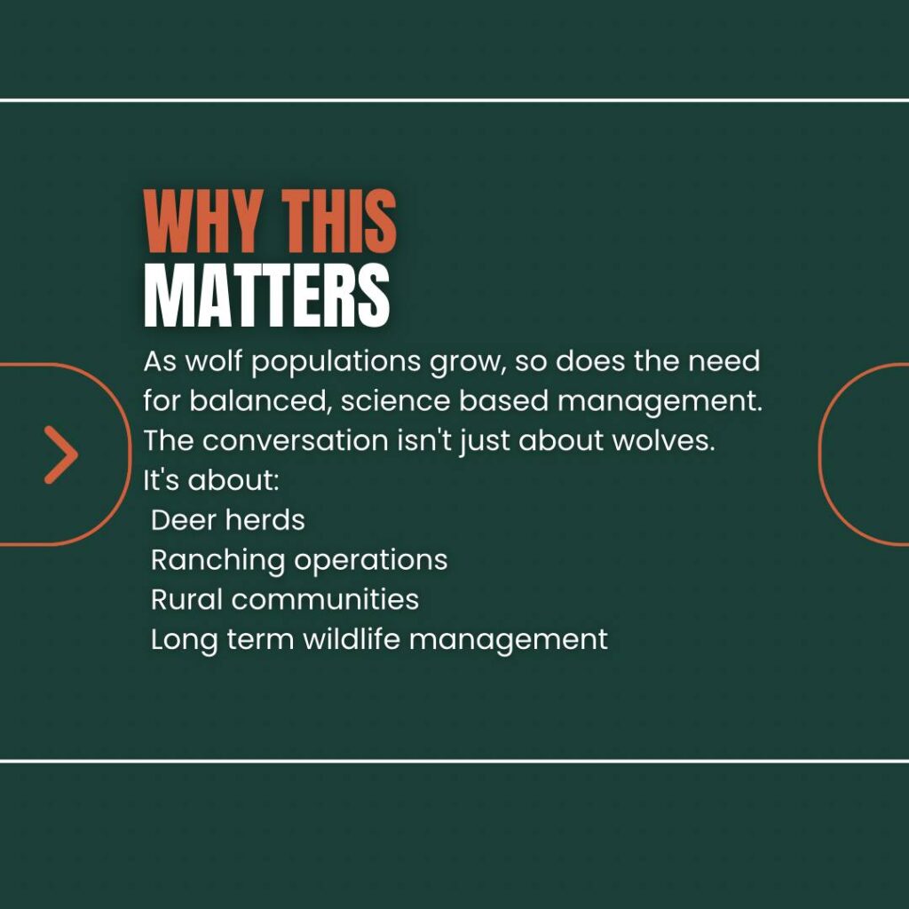 Instagram post from caldeerassoc. This post is in position 5.