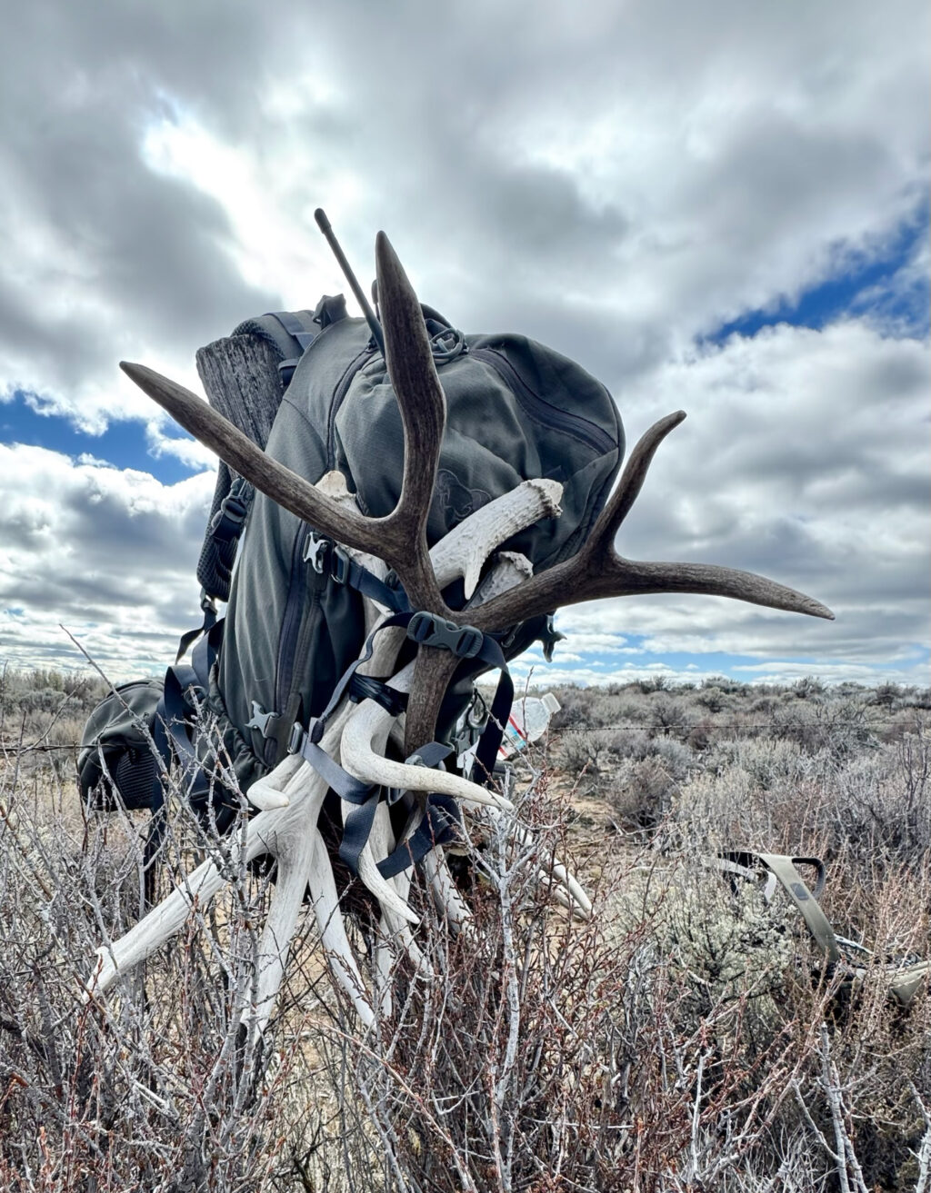 Instagram post from caldeerassoc. This post is in position 1.