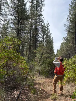 Instagram post from caldeerassoc. This post is in position 1.