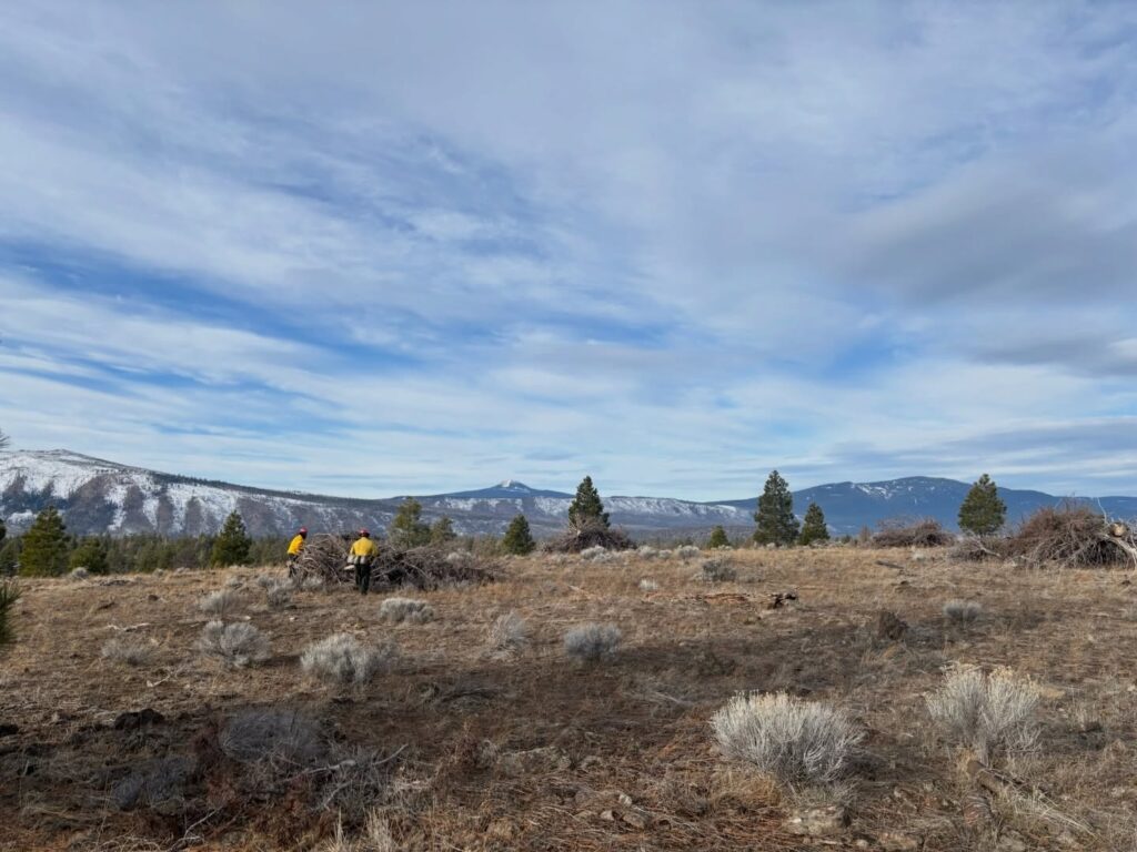 Instagram post from caldeerassoc. This post is in position 5.