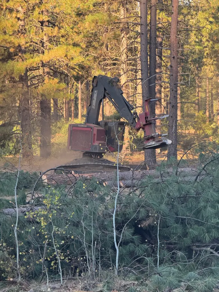 Instagram post from caldeerassoc. This post is in position 5.