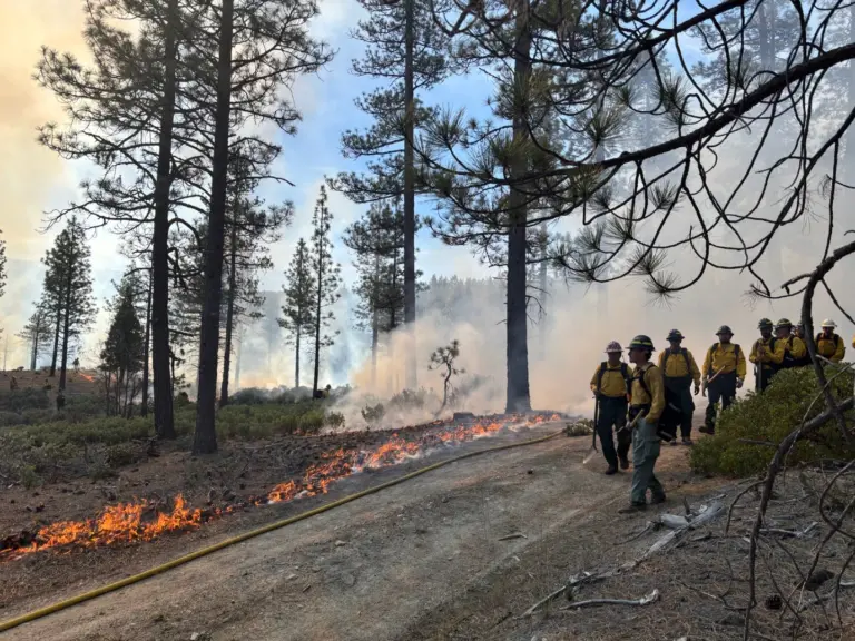 Instagram post from caldeerassoc. This post is in position 8.