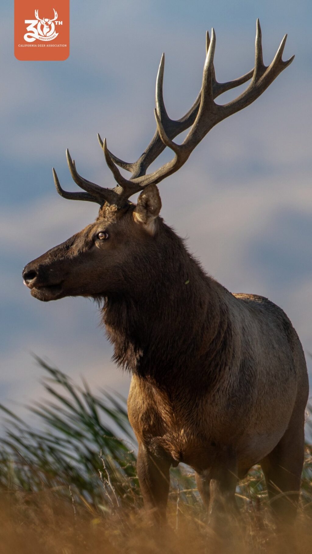 Instagram post from caldeerassoc. This post is in position 1.
