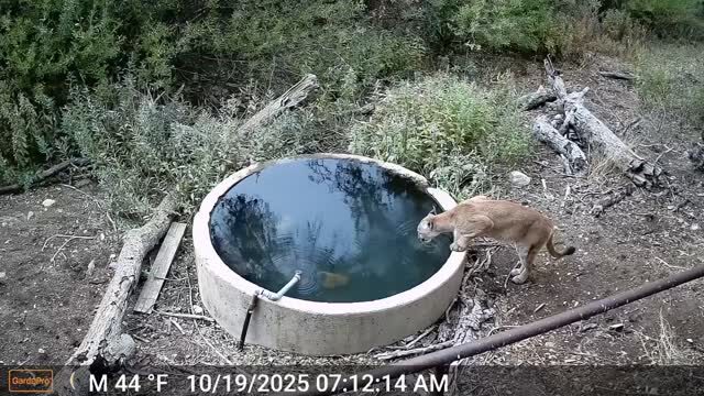 Instagram post from caldeerassoc. This post is in position 2.