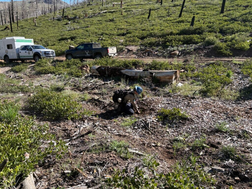 Instagram post from caldeerassoc. This post is in position 3.