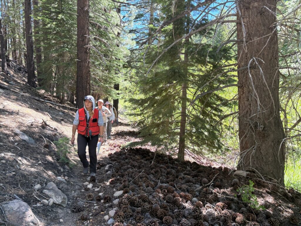 Instagram post from caldeerassoc. This post is in position 0.