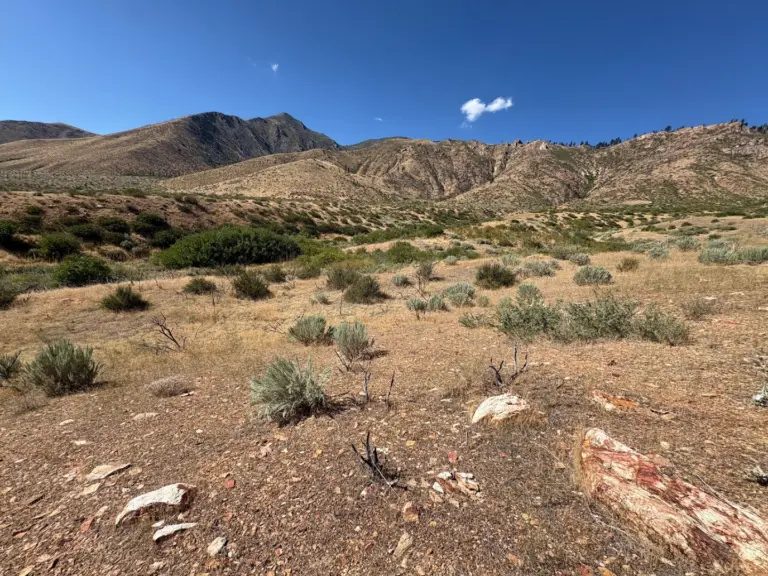 Instagram post from caldeerassoc. This post is in position 2.