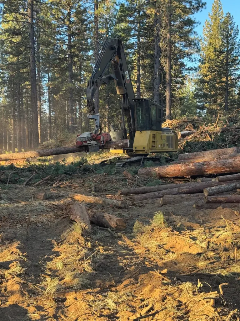 Instagram post from caldeerassoc. This post is in position 3.
