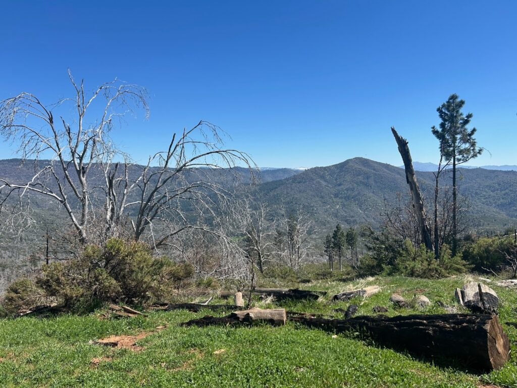 Instagram post from caldeerassoc. This post is in position 5.