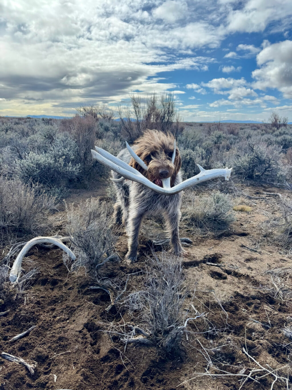 Instagram post from caldeerassoc. This post is in position 0.