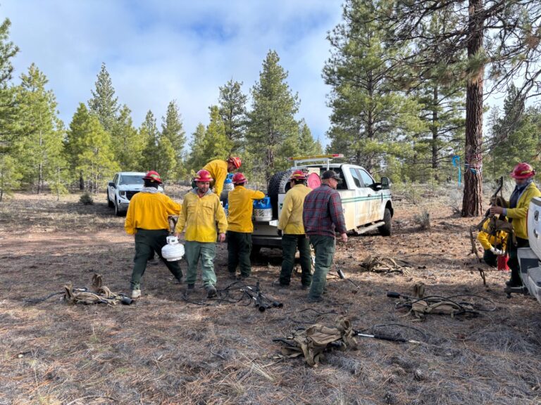 Instagram post from caldeerassoc. This post is in position 1.