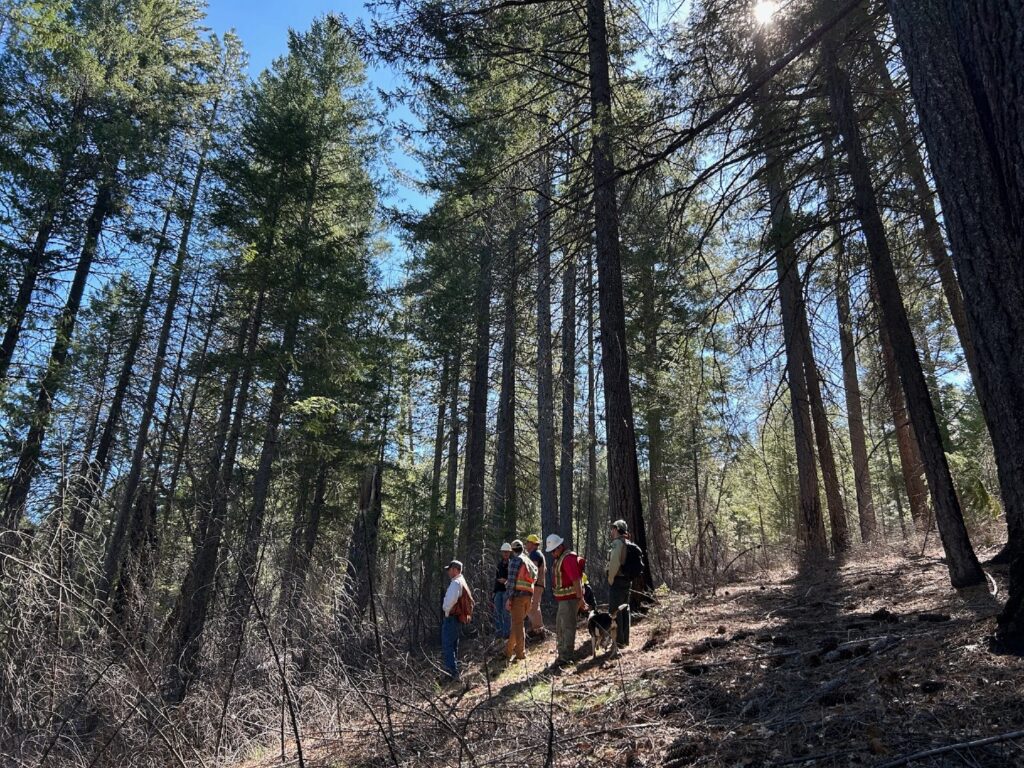 Instagram post from caldeerassoc. This post is in position 1.