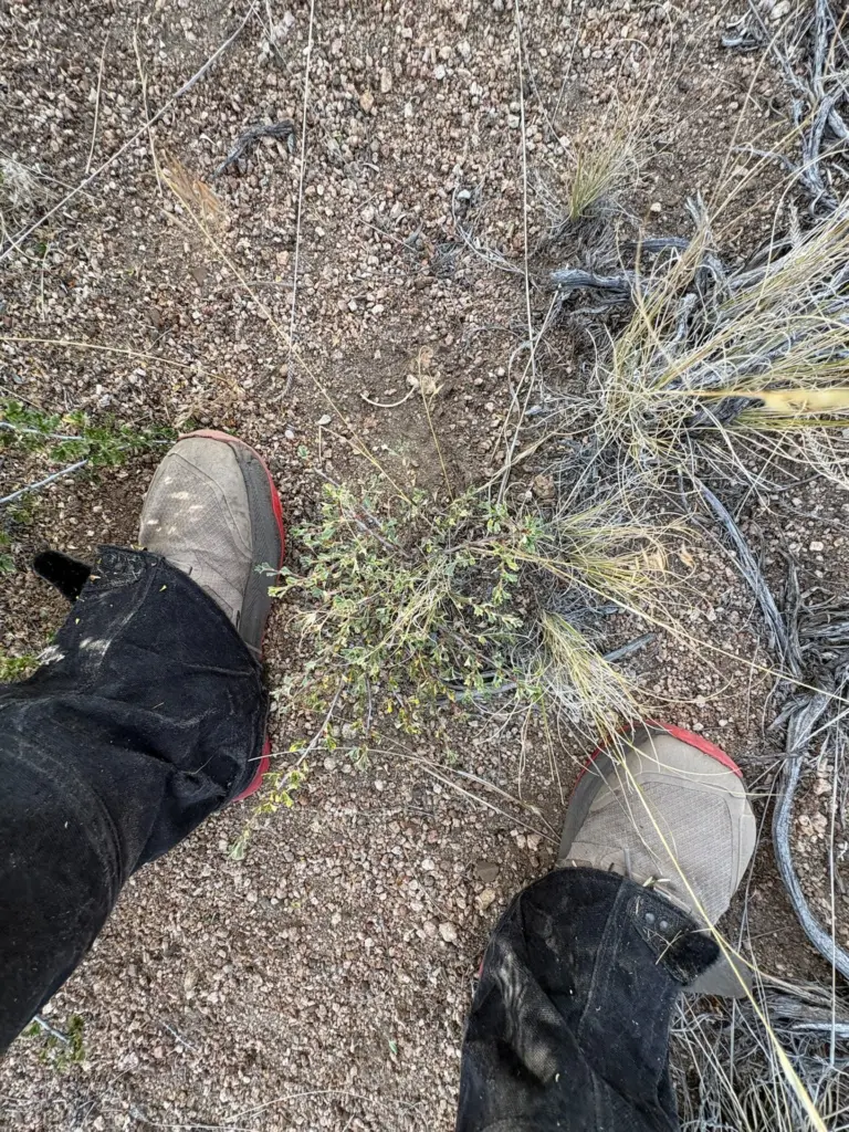 Instagram post from caldeerassoc. This post is in position 6.
