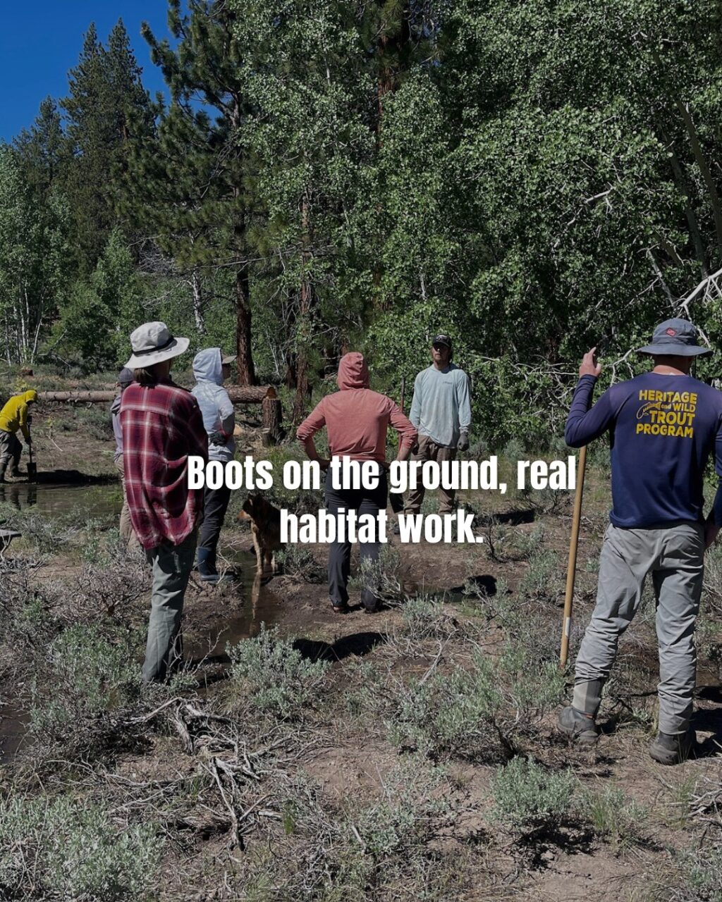 Instagram post from caldeerassoc. This post is in position 3.