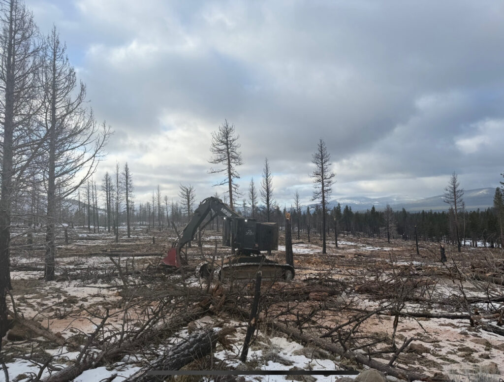 Instagram post from caldeerassoc. This post is in position 3.