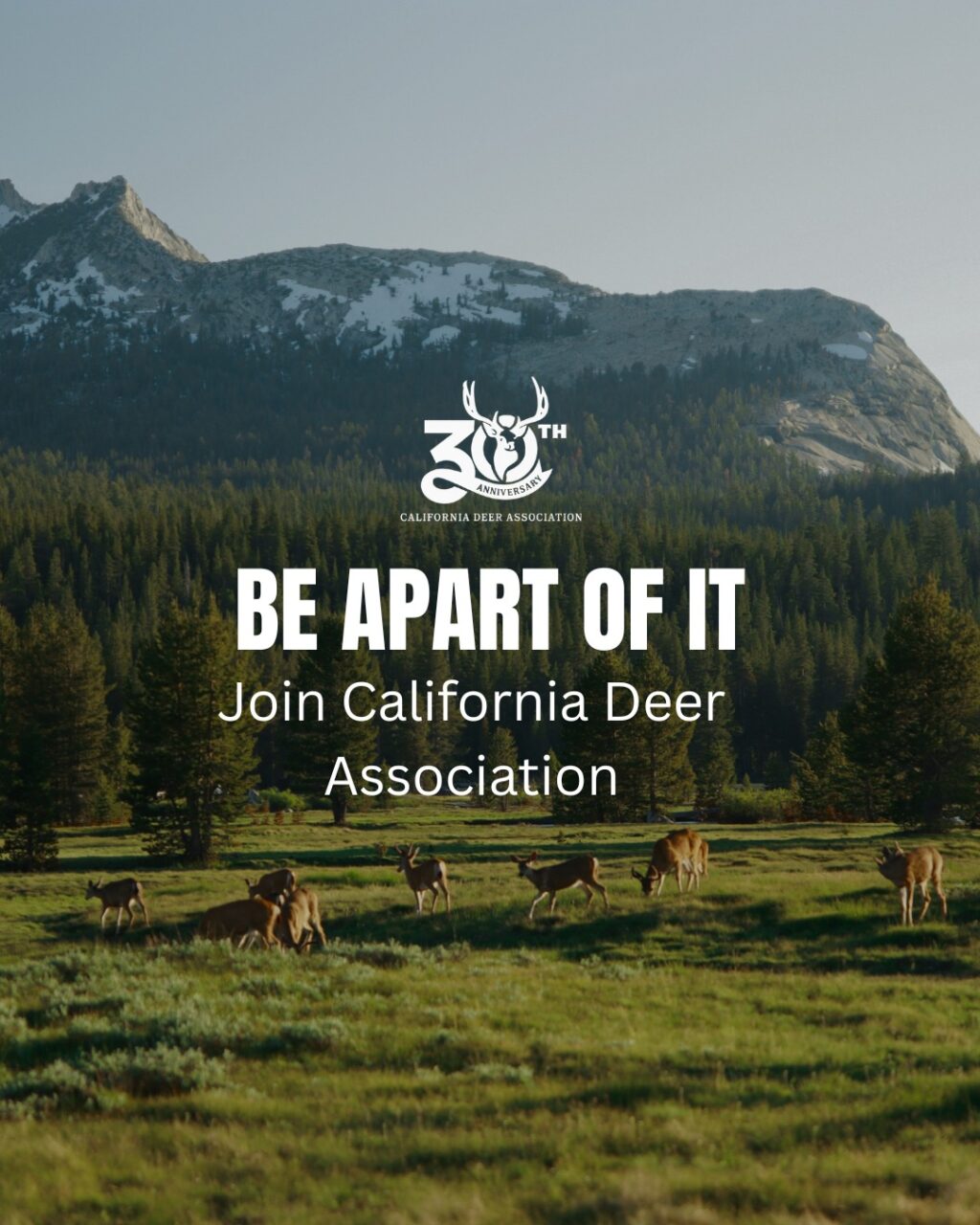 Instagram post from caldeerassoc. This post is in position 5.